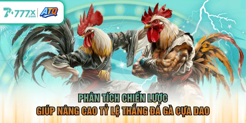 Phân tích chiến lược giúp nâng cao tỷ lệ thắng đá gà cựa dao