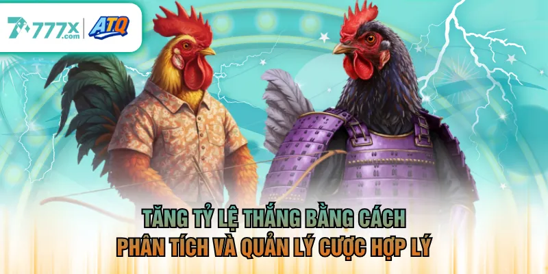 Tăng tỷ lệ thắng bằng cách phân tích và quản lý cược hợp lý